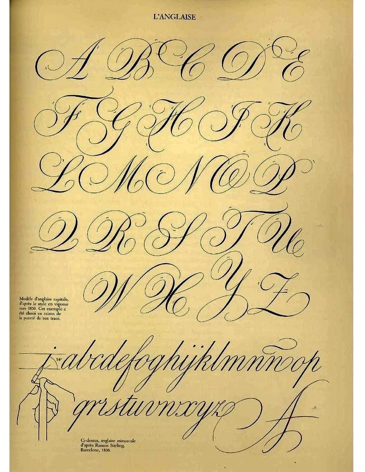 Mẫu chữ hoa sáng tạo 12 Mẫu chữ hoa sáng tạo 12