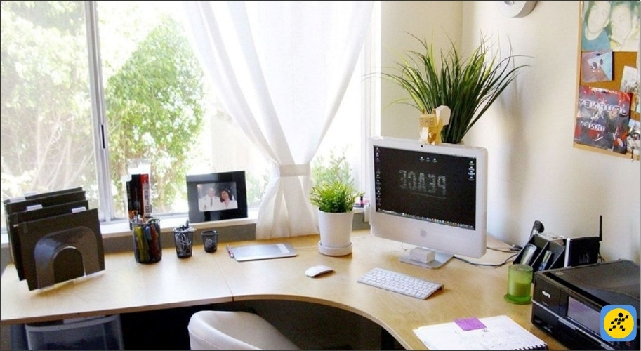 Bạn nên đặt 1-2 chậu cây xanh trên bàn làm việc là vừa đủ