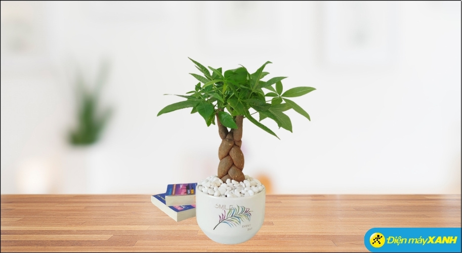 Kim Ngân tượng trưng cho sự giàu có, thịnh vượng và may mắn