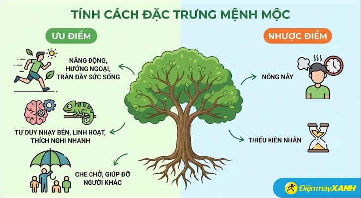 Người mệnh Mộc thường rất năng động, hướng ngoại và tràn đầy sức sống. Họ có tư duy nhạy bén, linh hoạt, khả năng thích nghi nhanh