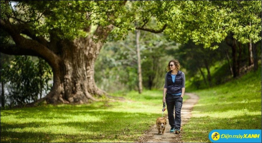 Dành thời gian đi dạo, thiền định hoặc nghe nhạc là những liều thuốc tinh thần tốt nhất