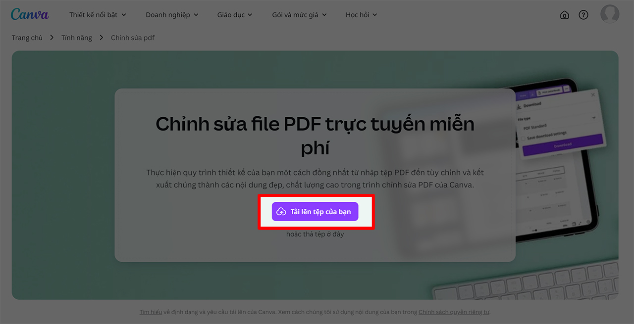 Cách chỉnh sửa file PDF trong Canva