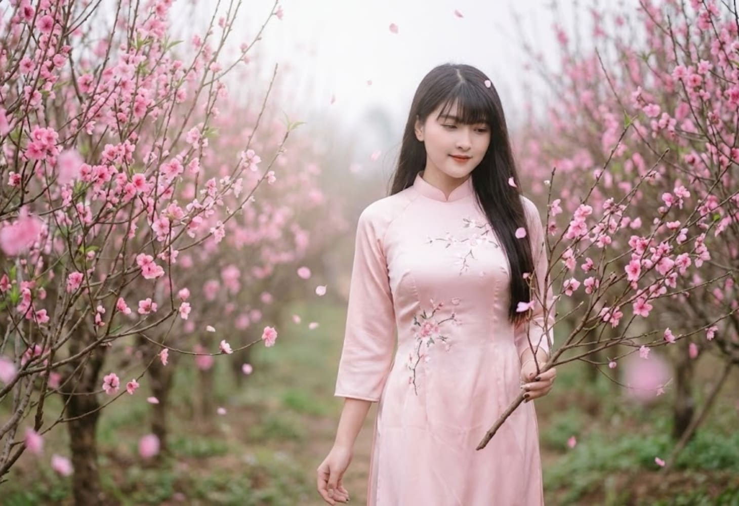 Cô gái tạo dáng trong vườn đào xuân