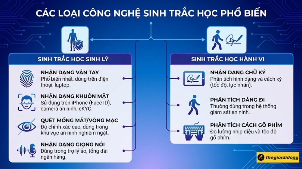 C&aacute;c loại c&ocirc;ng nghệ sinh trắc học phổ biến