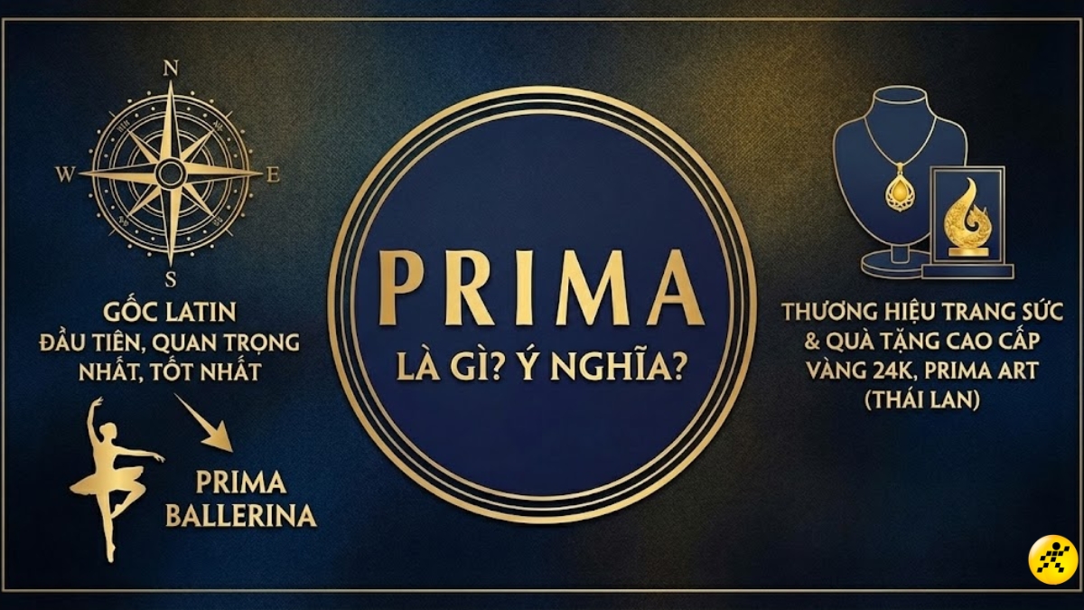 &Yacute; nghĩa của từ Prima