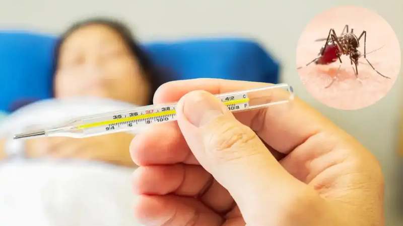 Sốt xuất huyết là một bệnh truyền nhiễm qua vật trung gian là muỗi Aedes Aegypti