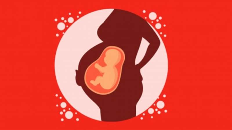 Tuy hiếm gặp nhưng sốt xuất huyết còn có thể lây truyền từ mẹ sang con