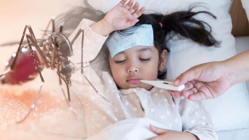 Mỗi người có thể sẽ mắc sốt xuất huyết đến 4 lần trong đời