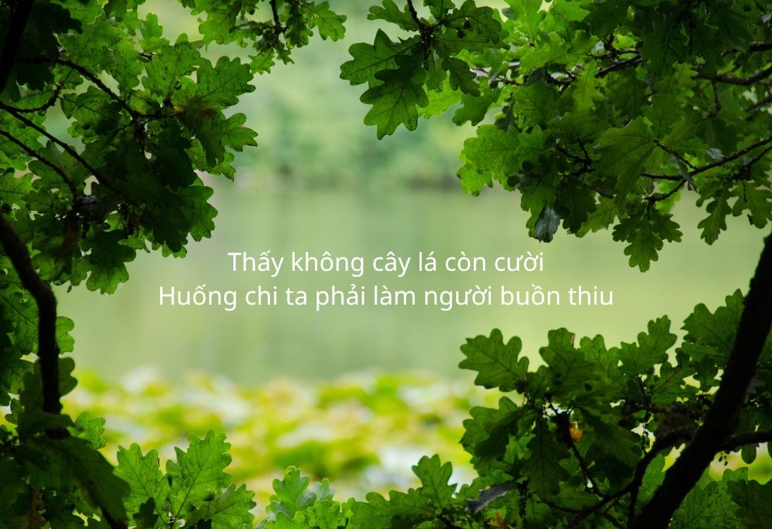 Stt lạc quan hài hước truyền năng lượng tích cực cho bạn