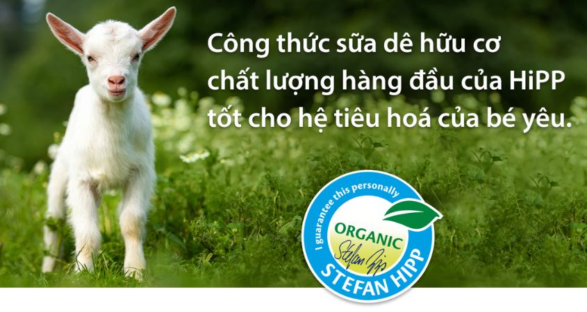 Sữa dê HiPP là sự lựa chọn phù hợp cho trẻ có hệ tiêu hoá nhạy cảm Sữa dê HiPP là sự lựa chọn phù hợp cho trẻ có hệ tiêu hoá nhạy cảm
