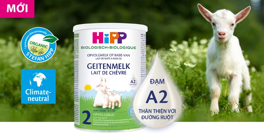 Sữa dê Hipp giàu đạm A2, giúp bé dễ tiêu hoá Sữa dê Hipp giàu đạm A2, giúp bé dễ tiêu hoá