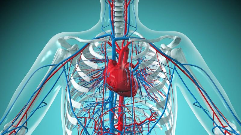 Việc hít bóng cười N₂O làm suy giảm chức năng cơ tim