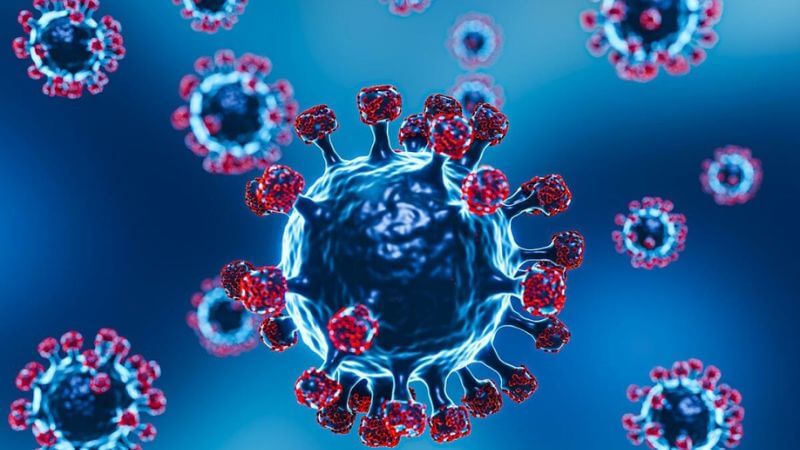 Tinh dầu thông đỏ đã được chứng minh là hoạt tính kháng virus gây cúm H1N1 và virus corona
