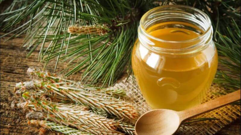 Thêm tinh dầu thông đỏ vào bữa ăn là phương pháp bổ sung đơn giản mà hiệu quả 