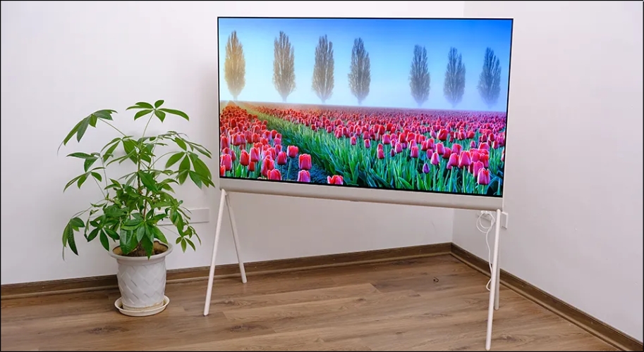 LG phù hợp với người dùng ưu tiên chất lượng hình ảnh OLED xuất sắc và thích một chiếc tivi có thiết kế độc đáo