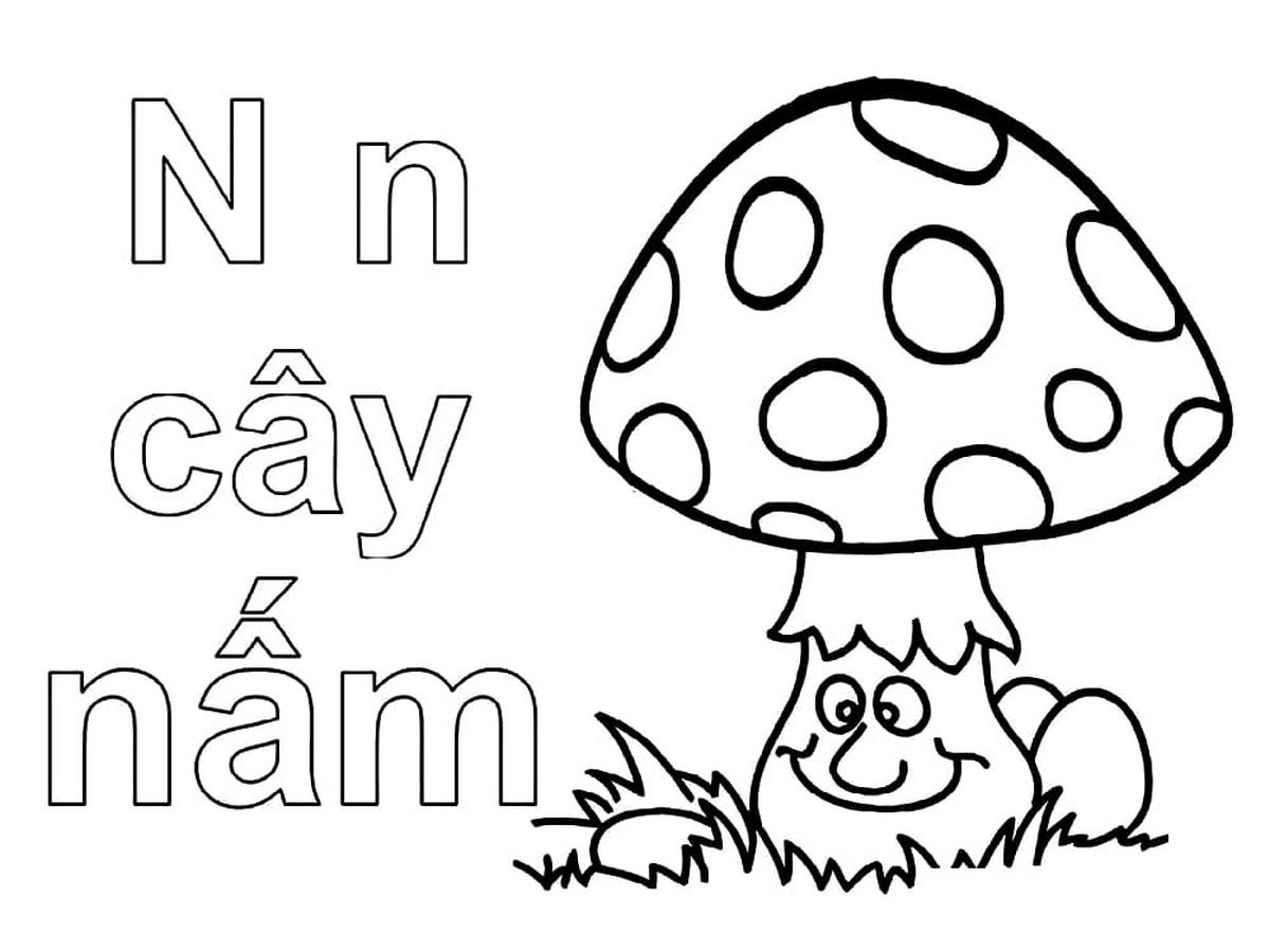 Tranh tô màu chữ cái N Tranh tô màu chữ cái N