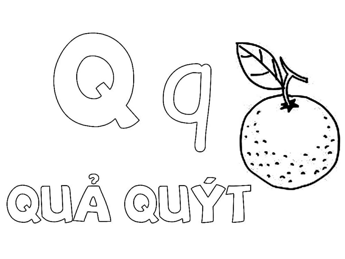 Tranh tô màu chữ cái Q Tranh tô màu chữ cái Q