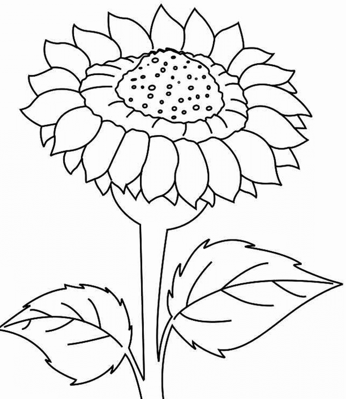 Tranh tô màu bông hoa nở số 4