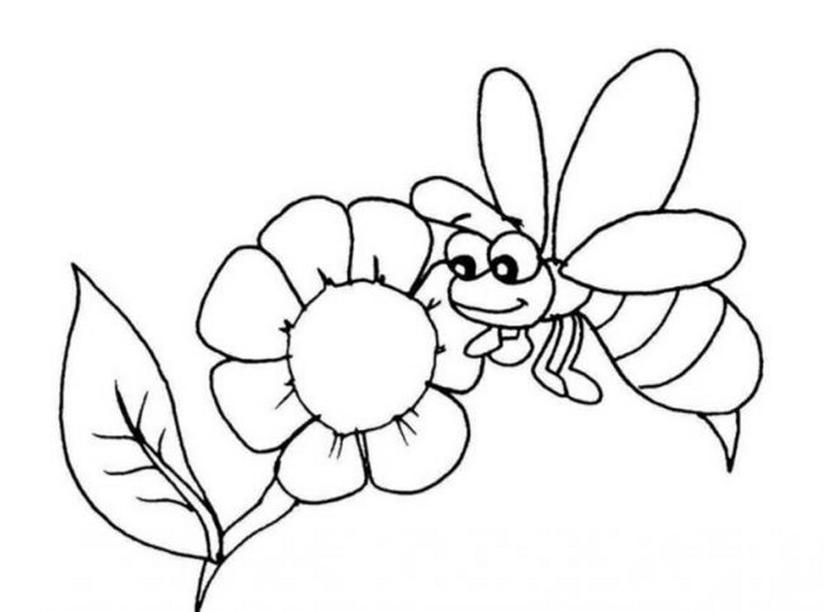 Tranh tô màu bông hoa số 9