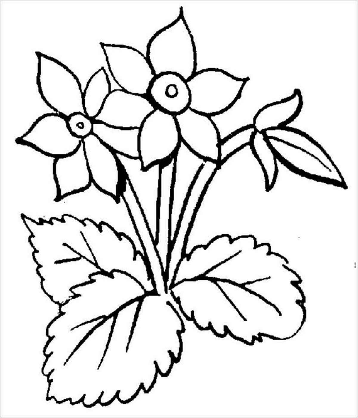 Tranh tô màu bông hoa số 10