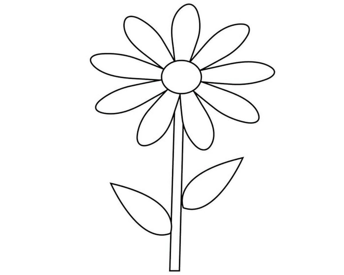 Tranh tô màu bông hoa số 24