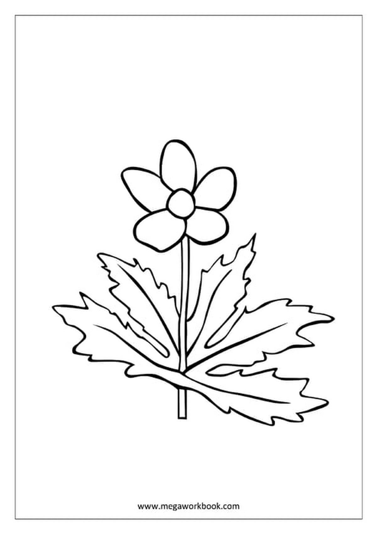 Tranh tô màu bông hoa số 25