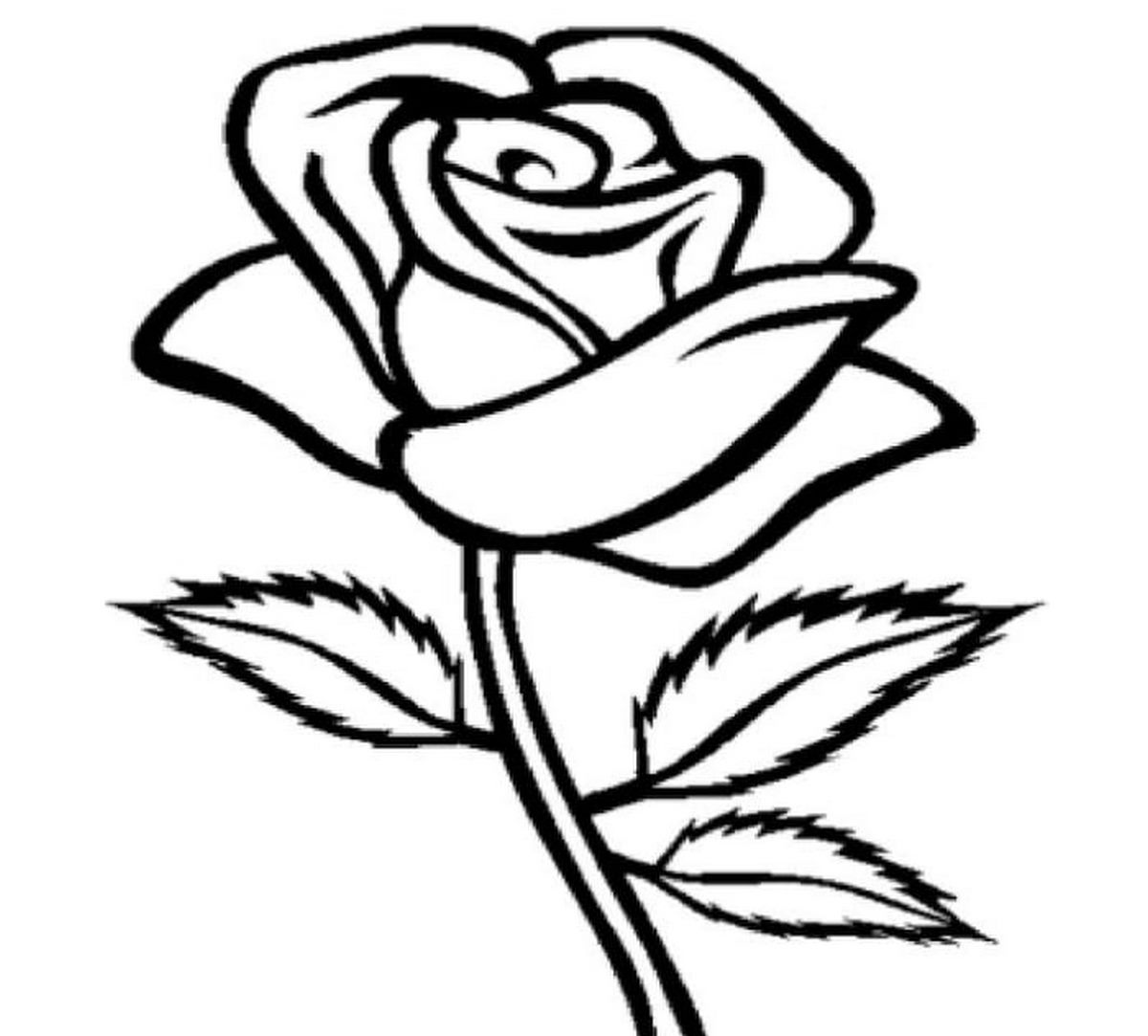 Tranh tô màu bông hoa số 34