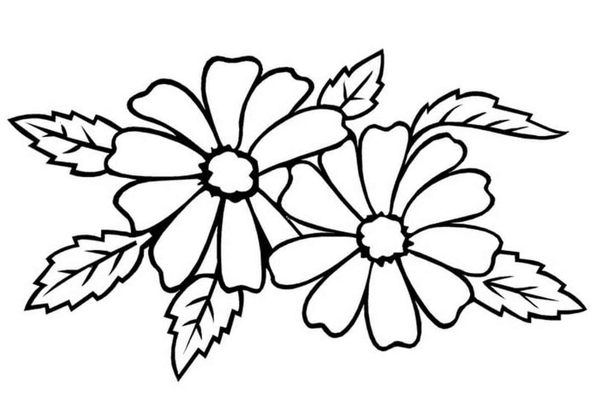 Tranh tô màu bông hoa số 42