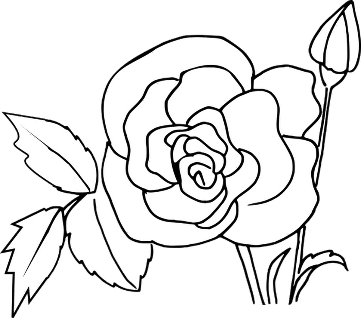 Tranh tô màu bông hoa số 48