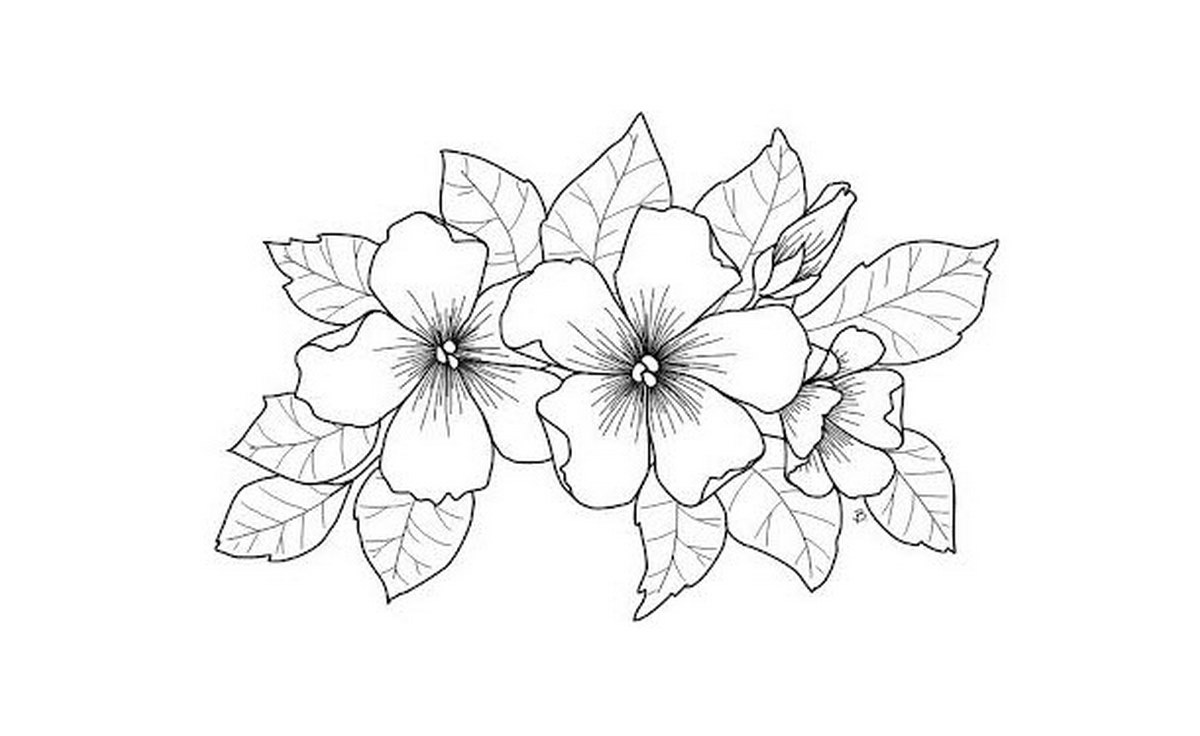 Tranh tô màu bông hoa số 52
