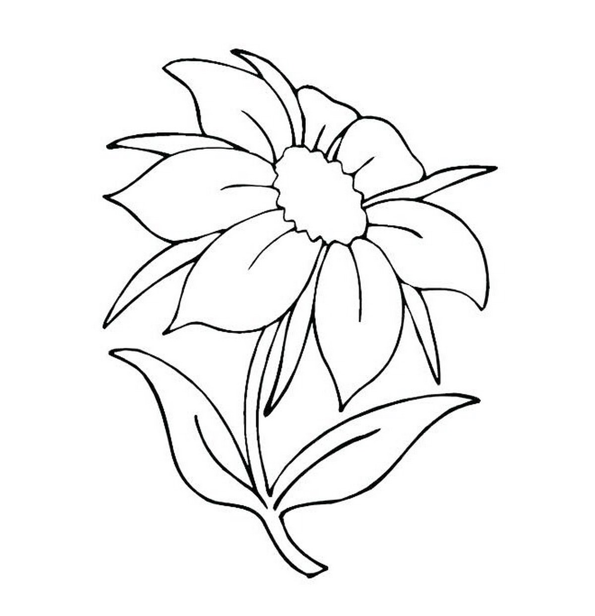 Tranh tô màu bông hoa nở số 11