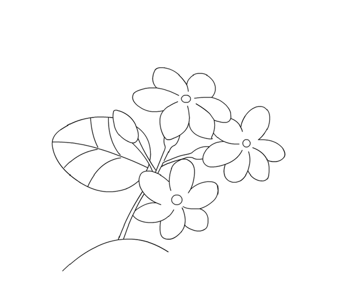 Tranh tô màu bông hoa số 56