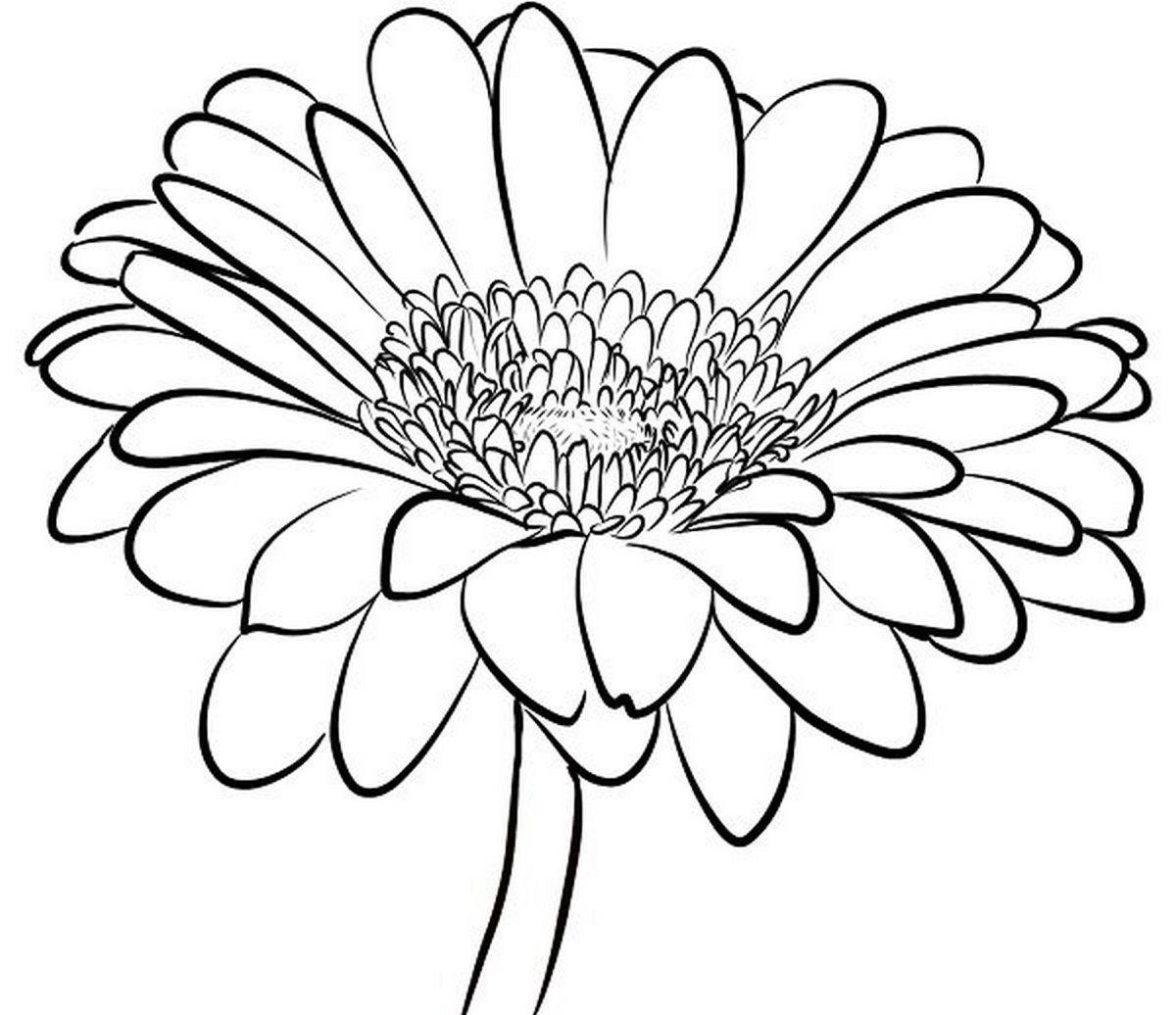 Tranh tô màu bông hoa số 66