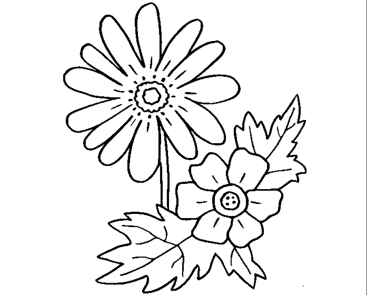 Tranh tô màu bông hoa nở số 17