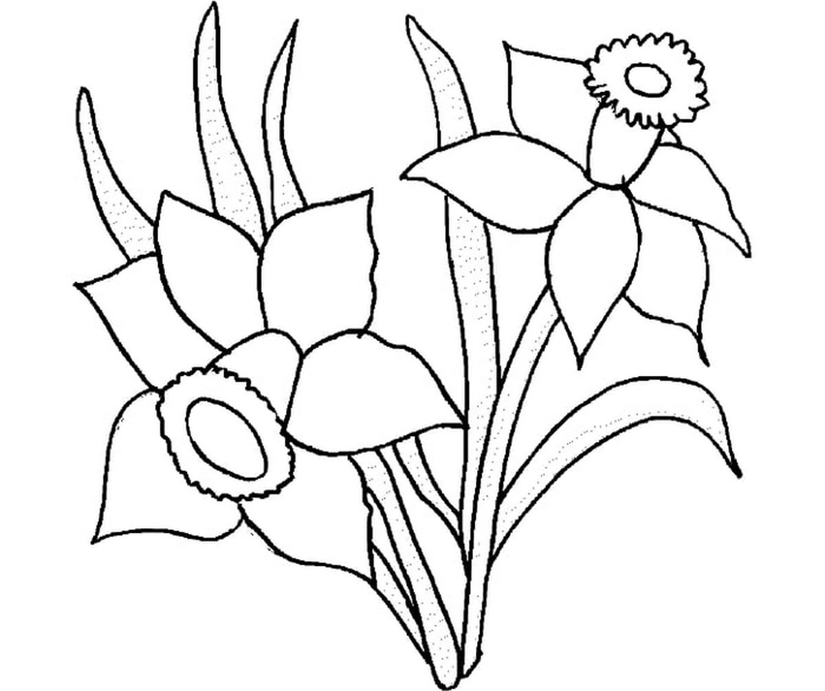 Tranh tô màu bông hoa số 105