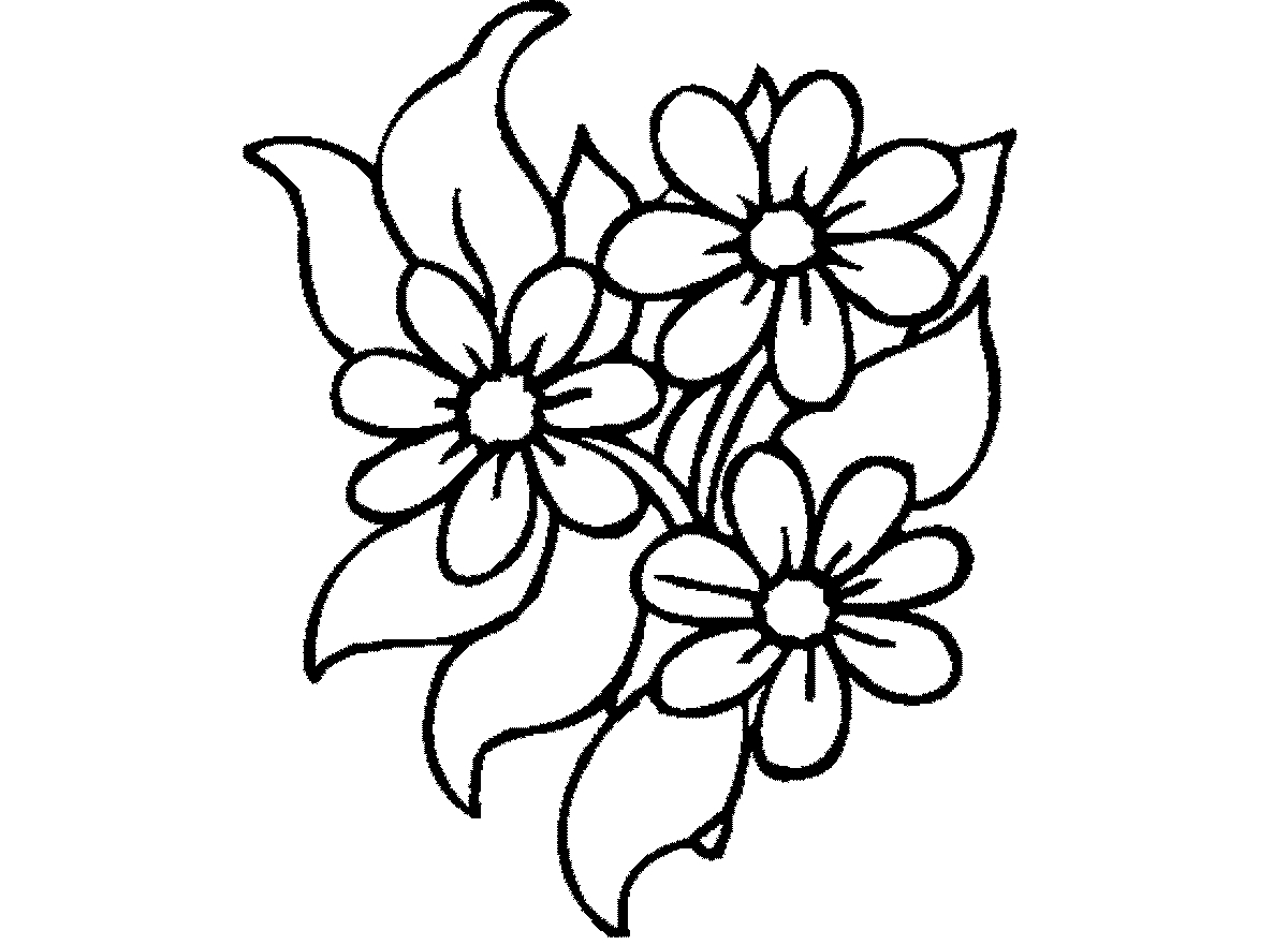 Tranh tô màu bông hoa số 107