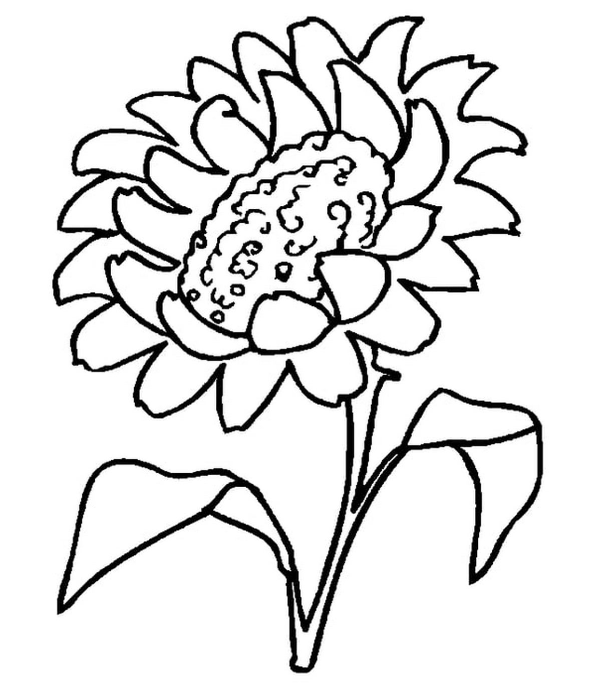 Tranh tô màu bông hoa nở số 24