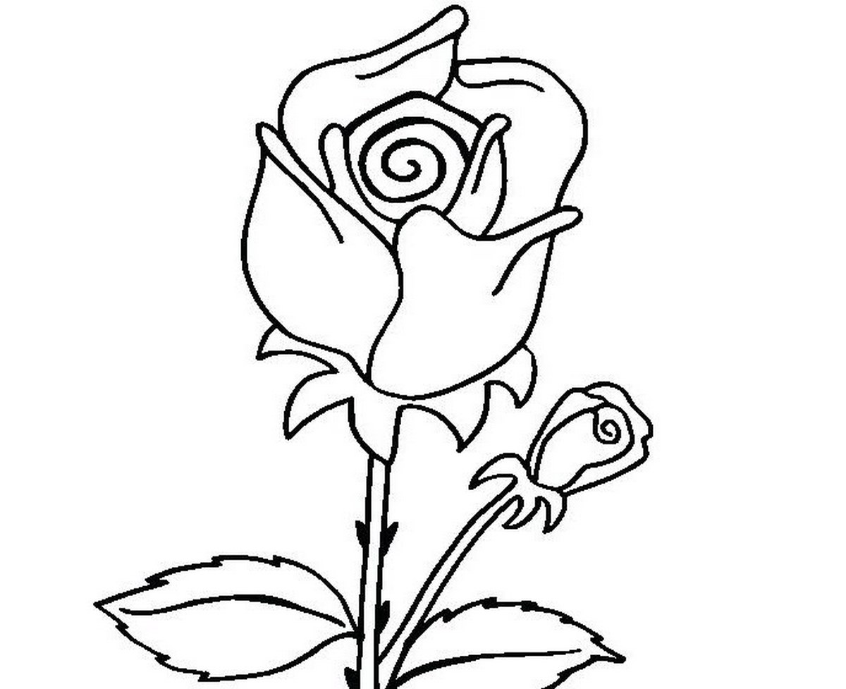 Tranh tô màu bông hoa nở số 28