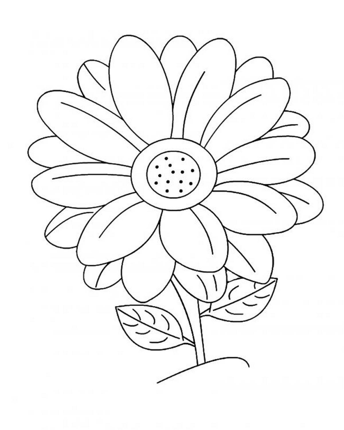 Tranh tô màu bông hoa số 121