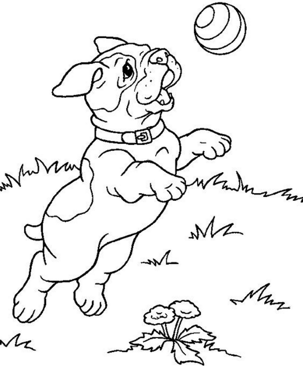 Tranh tô màu con chó số 19 Tranh tô màu con chó số 19