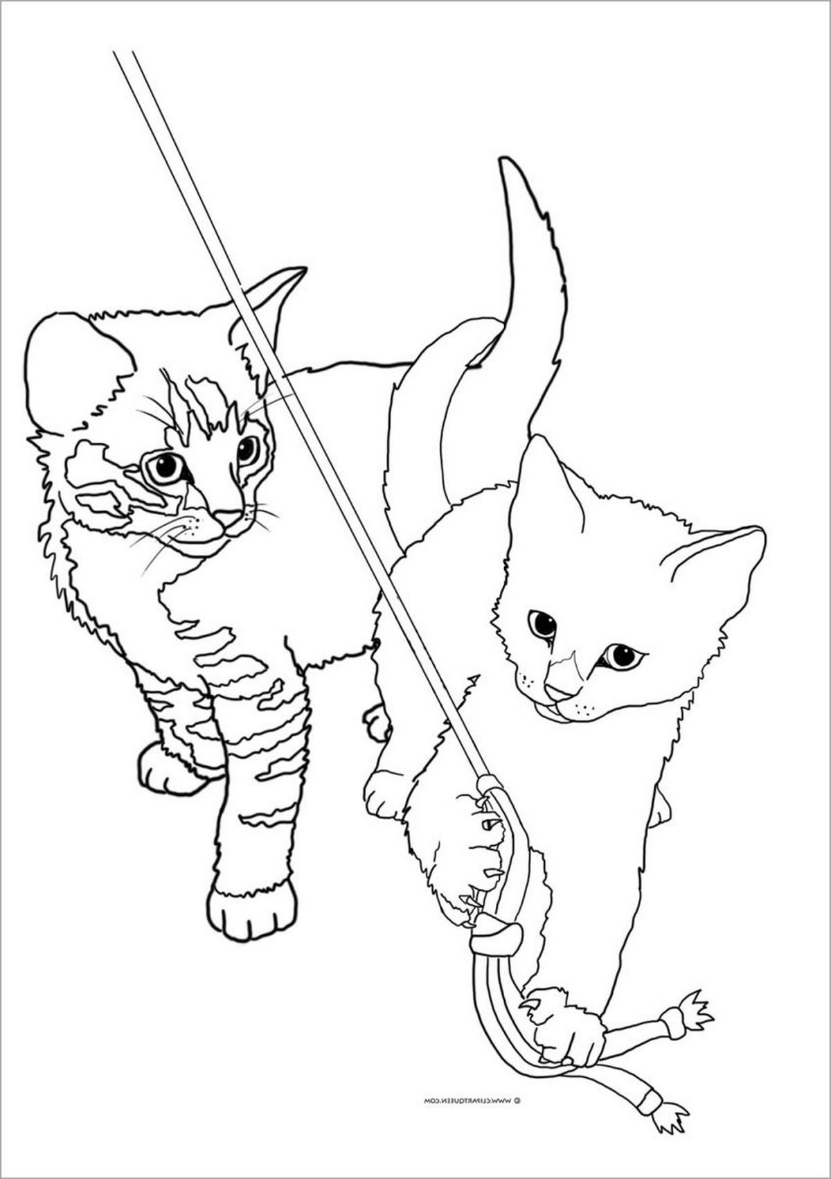 Tranh tô màu con mèo tinh nghịch số 11