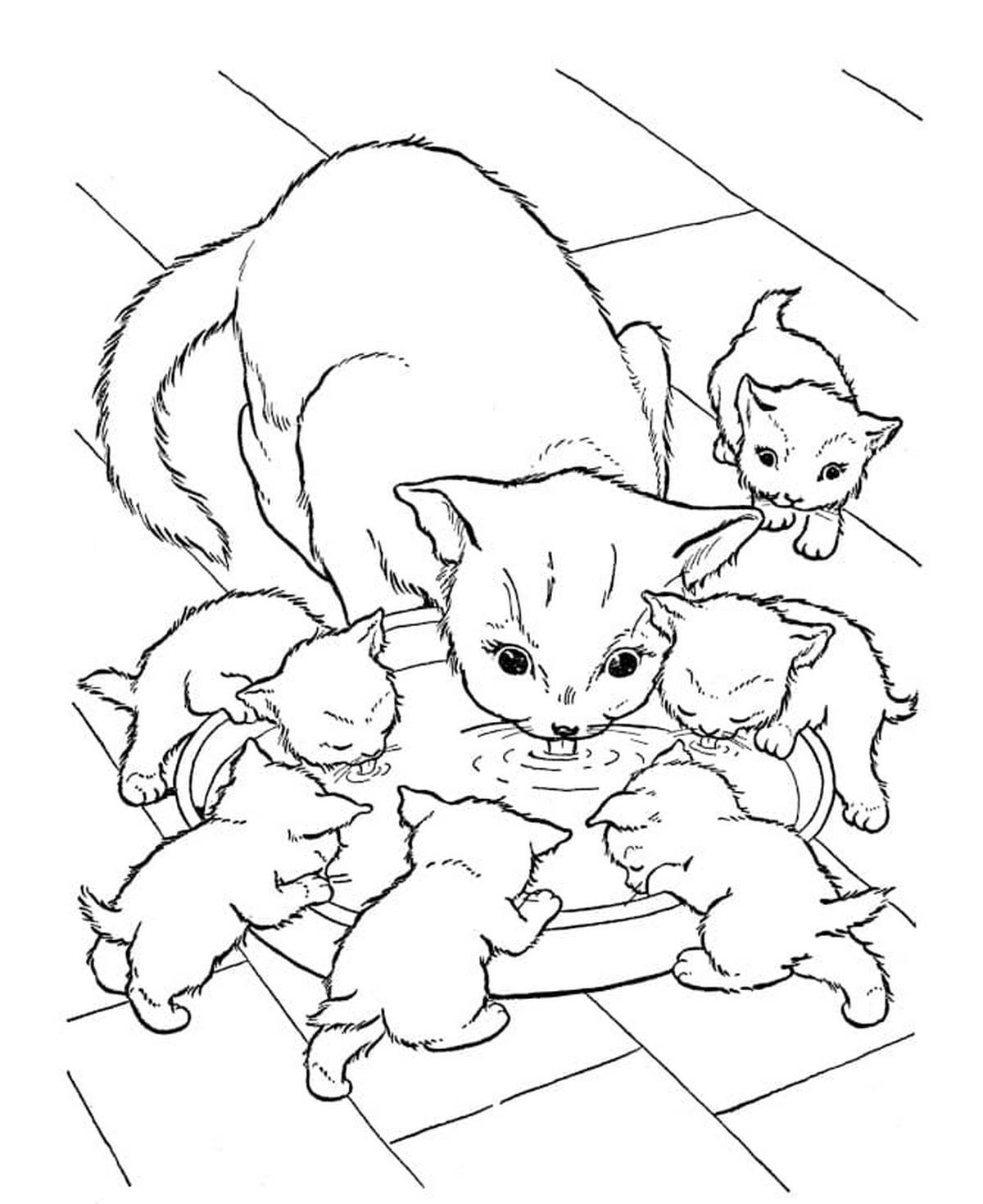 Tranh tô màu con mèo tinh nghịch số 15