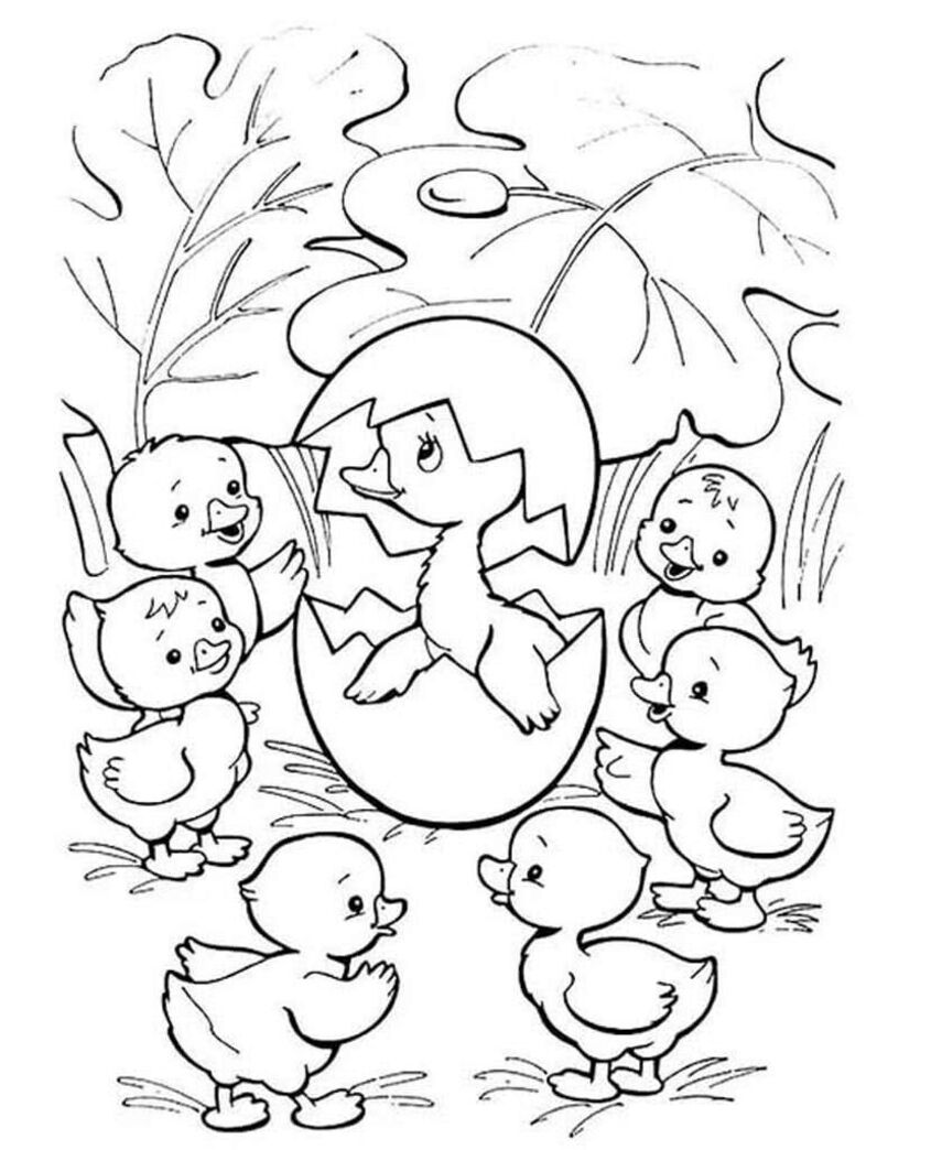 Tranh tô màu con vịt 39