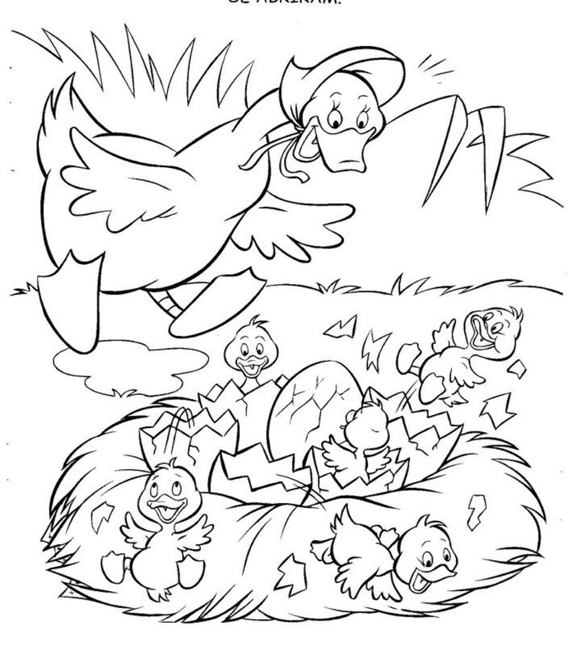 Tranh tô màu con vịt 40