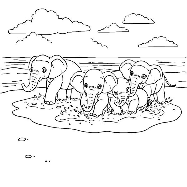 Tranh tô màu con voi 54