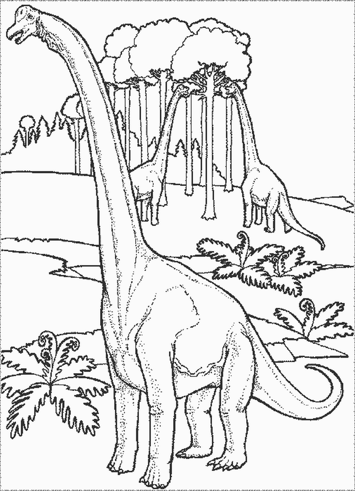 Tranh tô màu khủng long số 62