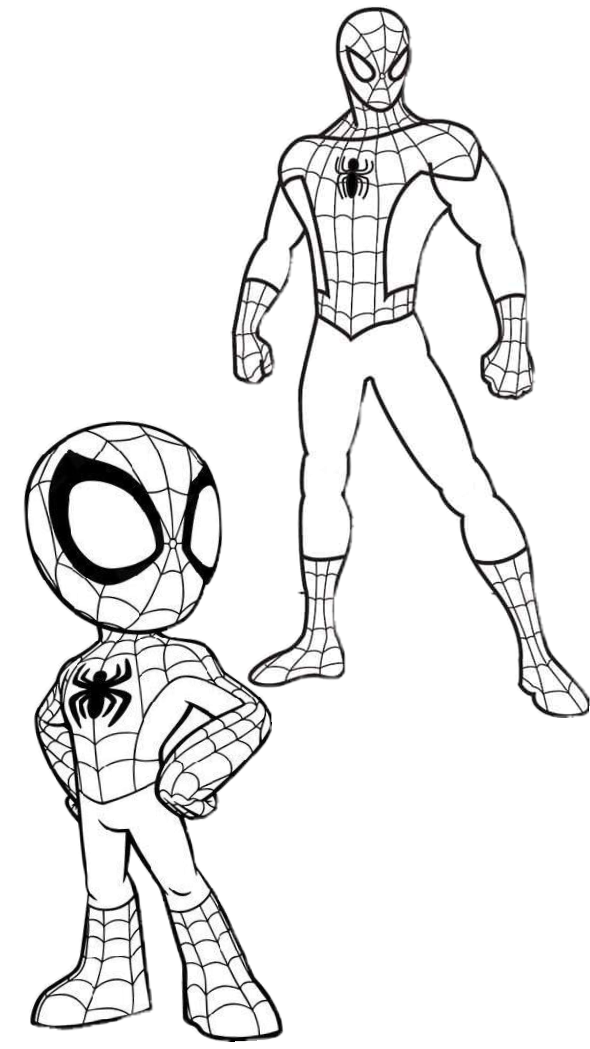 Tranh tô màu Spider Man 15