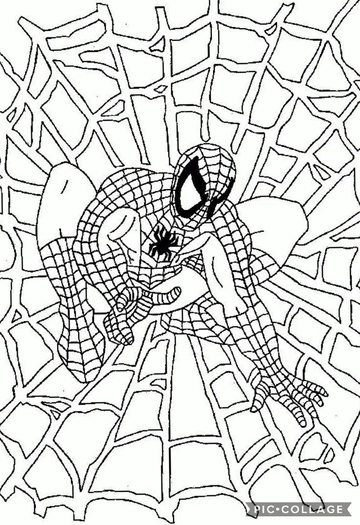 Tranh tô màu Spider Man 5