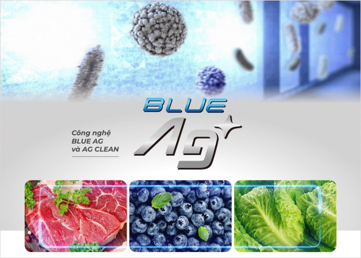 Công nghệ kháng khuẩn, khử mùi Ag Clean trên tủ lạnh Panasonic