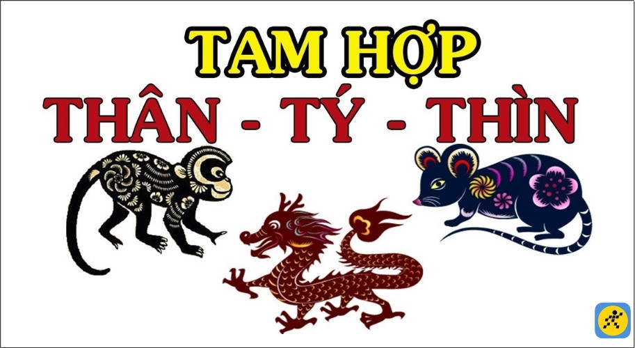 Tuổi Thân - Tý - Thìn khi kết hợp làm ăn hay kết hôn thường gặt hái được thành công lớn và sự thịnh vượng bền vững